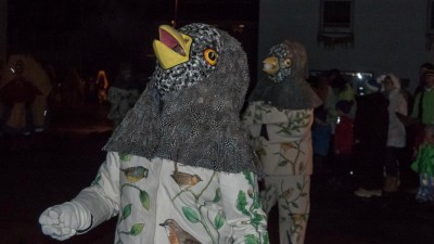 Nachtumzug in Bachheim
